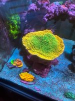 IMG_0694.jpeg