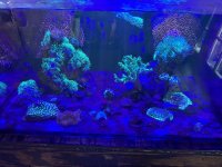 IMG_8770.jpeg