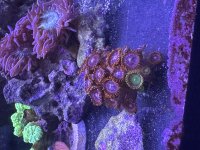 IMG_3343.jpeg