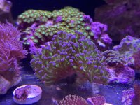 IMG_2065.jpeg