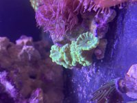 IMG_2067.jpeg