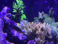 IMG_3594.JPG