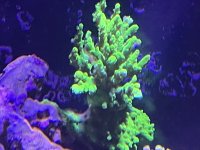 IMG_3596.JPG