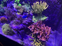 IMG_3600.JPG