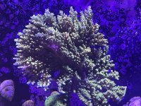 IMG_3580.JPG