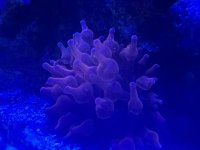 IMG_2949.jpeg