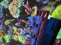 IMG_4711.jpeg