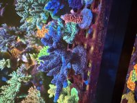 IMG_4708.jpeg