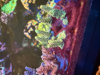 IMG_4714.jpeg
