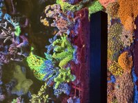 IMG_4696.jpeg