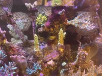IMG_3384.jpg