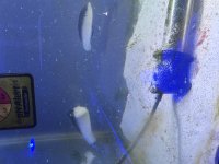 IMG_6317.jpeg