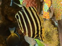 IMG_5043.jpeg