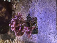 IMG_5844.jpeg