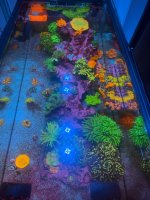 IMG_0954.jpeg