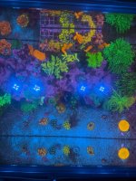 IMG_0957.jpeg