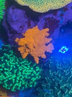 IMG_0959.jpeg