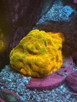 IMG_0962.jpeg