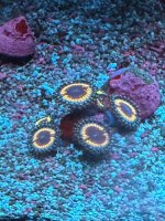 IMG_0964.jpeg