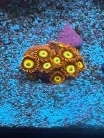 IMG_0965.jpeg