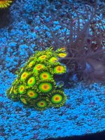 IMG_0967.jpeg