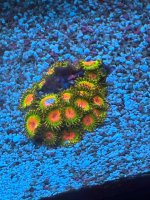 IMG_0968.jpeg