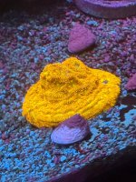 IMG_0969.jpeg