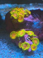 IMG_0970.jpeg