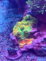 IMG_0971.jpeg