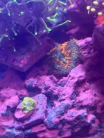 IMG_0973.jpeg