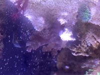 20250925_183434.jpg