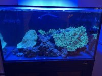 IMG_6772.jpeg