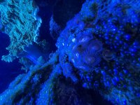 IMG_6773.jpeg