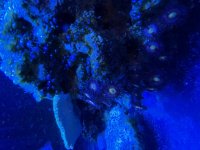 IMG_6774.jpeg