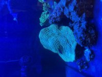 IMG_6776.jpeg