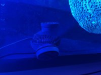 IMG_6786.jpeg