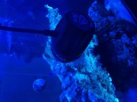 IMG_6785.jpeg