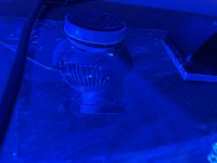 IMG_6783.jpeg