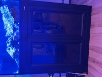 IMG_6780.jpeg