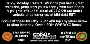 Screenshot 2025-09-29 at 4.30.22 PM.png