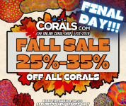 Fall Sale 2025(1).png