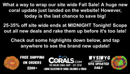 Screenshot 2025-09-30 at 12.01.37 PM.png