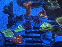 IMG_3904.jpeg