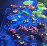 IMG_3906.jpeg