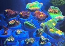 IMG_3907.jpeg