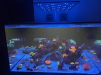 IMG_3910.jpeg