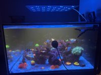 IMG_3911.jpeg