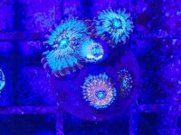 20250930_144919.jpg