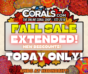 Fall Sale 2025(3).png