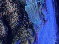 IMG_2920.jpeg